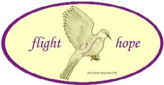   Icom to support Flight of Hope